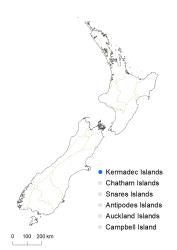 Pyrrosia serpens distribution map based on databased records at AK, CHR & WELT.
 Image: K.Boardman © Landcare Research 2021 CC BY 4.0